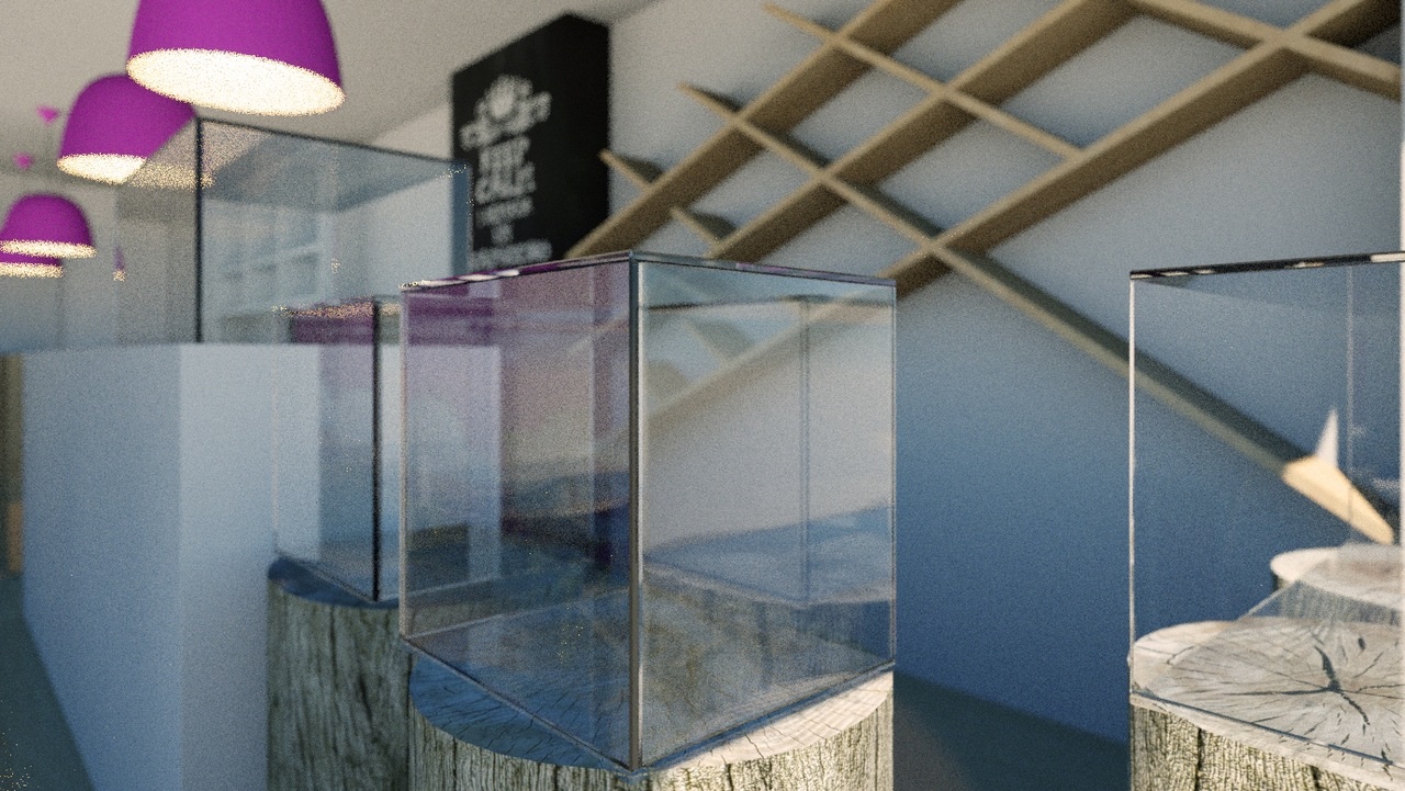 foto obra segesco